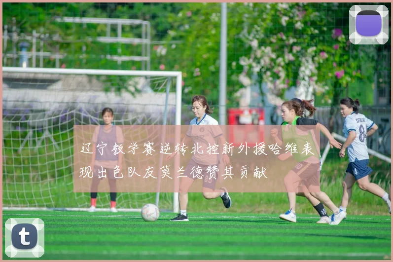 辽宁教学赛逆转北控新外援哈维表现出色队友莫兰德赞其贡献